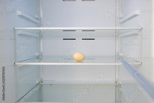 Single raw egg in empty refrigerator