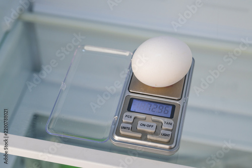 Egg weighing on digital scales in refrigerator