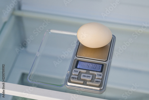 Egg weighing on digital scales in refrigerator