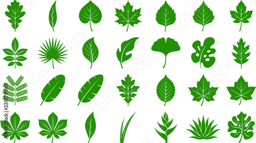 Collection of various green plant leaves and foliage icons isolated on a white background