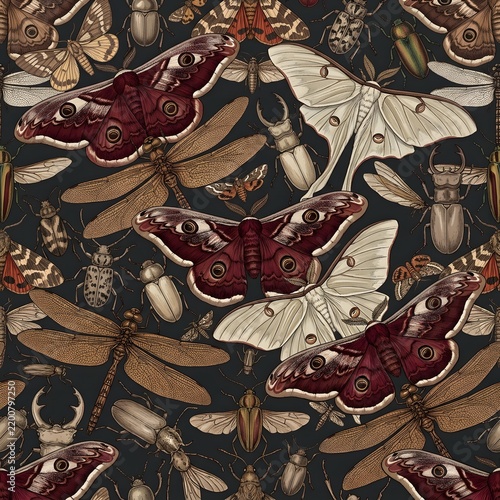 Vintage entomology pattern featuring large moths beetles and dragonflies for dark aesthetic decor.