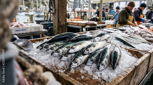 Fresh Mackerel Fish Displayed On Ice.