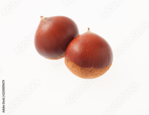 Obraz w ramie 毬栗 白バック