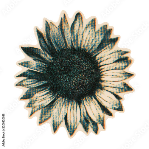 Halftone sunflower with large petals top view with die-cut sticker border isolated on a transparent background
