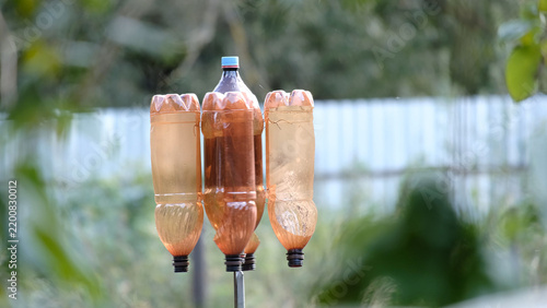 Foto DIY garden rotating deterrent using plastic bottles as anemometer for moles and