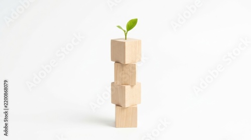 Green plant sprouting from stack of wooden blocks on white background