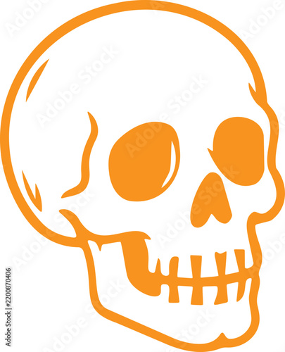 Minimalist Orange Skull Illustration