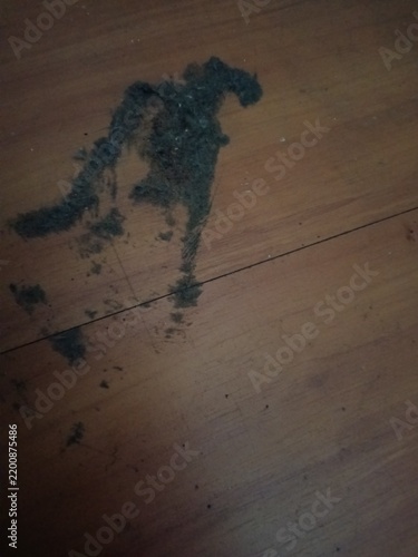 A pile of dark gray or blackish dust bunnies, lint, or accumulated pet hair and grime