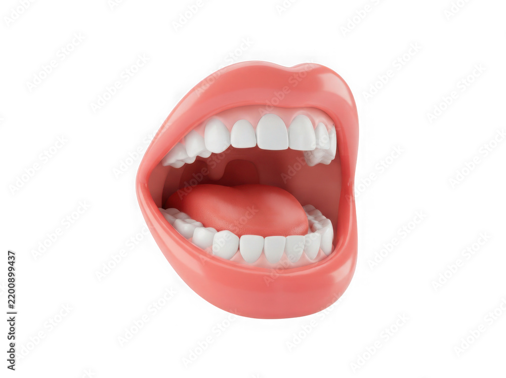Fototapeta premium Human mouth with open jaw showing teeth isolated on transparent background
