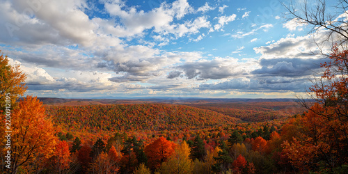 Endless Rolling Forests Painted in Peak Autumn Color