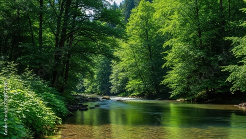 Lush green forest river landscape with clear flowing water. Serene woodland stream surrounded by dense summer foliage. Peaceful river scenery in a vibrant deciduous forest environment.