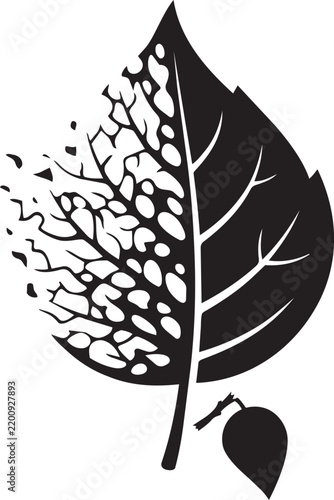 Black and white leaf icon with a crumbling edge effect showing a detailed network of veins and plant structure isolated on transparent background, Vector