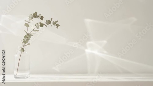 Minimalist eucalyptus branch in a glass vase on a white shelf