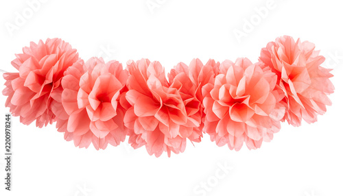 Pink Coral Tissue Paper Pom Pom Garland on Transparent Background