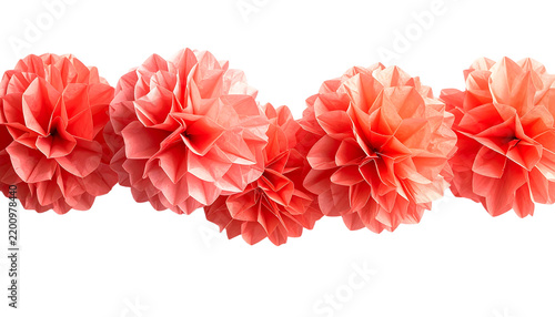 Coral Tissue Paper Flower Garland on Transparent Background