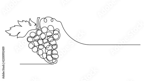 Self drawing line animation healthy organic grapes Fresh tropical fruitage continuous one single line drawn concept video, Self drawing line animation healthy organic grapes Fresh tropical fruitage.
