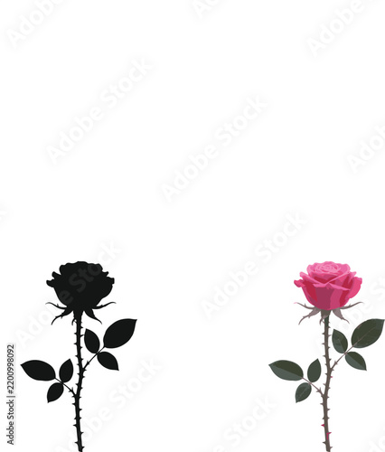 Comparison of a black silhouette rose and a realistic pink rose with green leaves and thorns isolated on a white background for