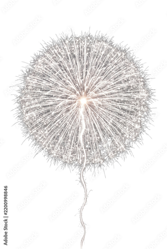 Fototapeta premium Spherical dandelion sparkler explosion on transparent background