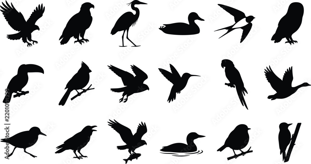 Fototapeta premium Set of diverse wild bird silhouettes including eagle, owl, parrot, and hummingbird in black vector icon style
