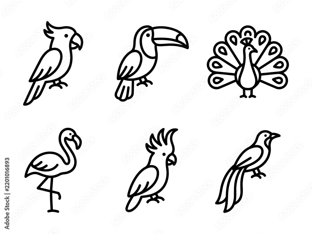 Fototapeta premium Tropical Bird Line Icon Set with Flamingo Toucan and Parrot