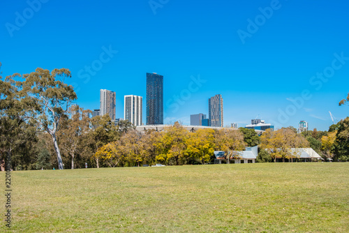 Photography Wistaria Gardens at Parramatta Park during the wisteria flowering season in Sydn