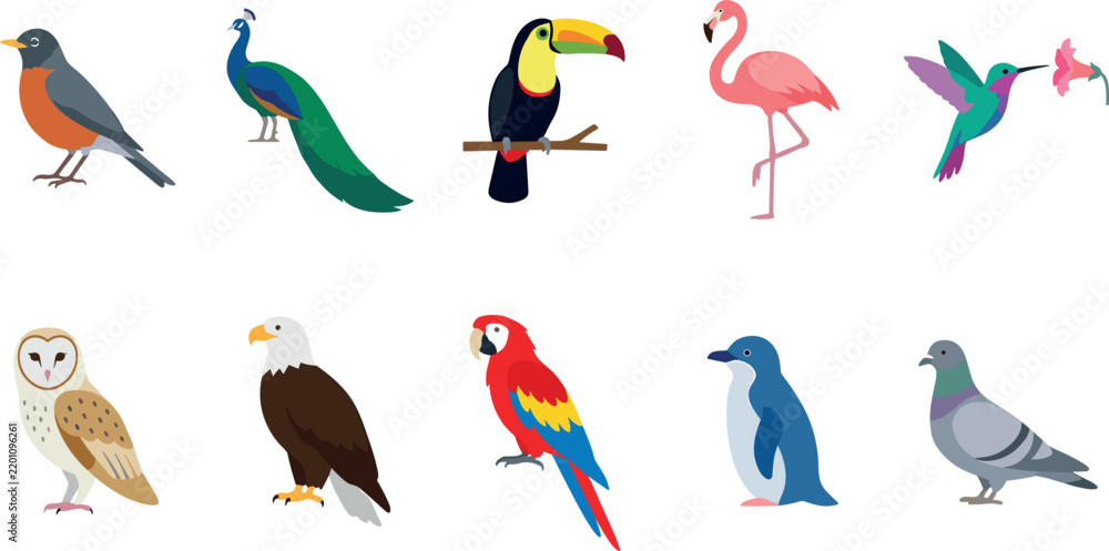 Obraz premium Vector illustration set of diverse bird species featuring a robin peacock toucan flamingo hummingbird owl eagle parrot penguin and common pigeon