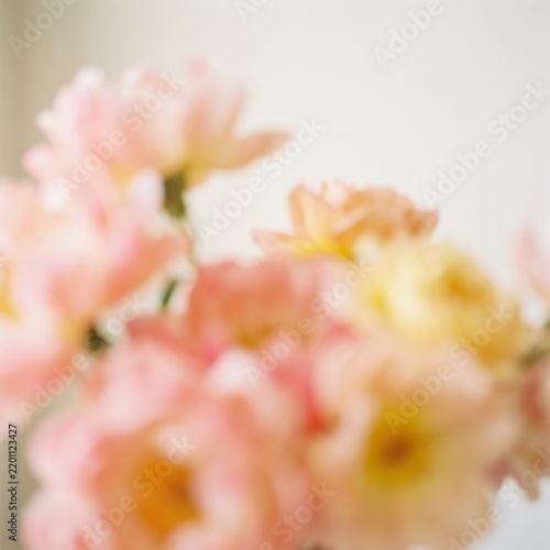 Soft focus abstract background, of pale pink, and yellow flowers, creating a dreamy, and ethereal floral atmosphere