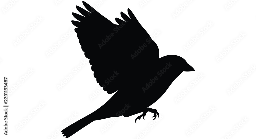 Fototapeta premium A black bird silhouette displays wings in flight against a white background