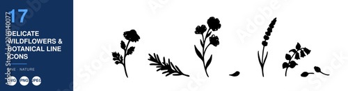 Wildflowers Botanical Line Icons Set, Delicate Floral Illustrations, Nature Design Elements
