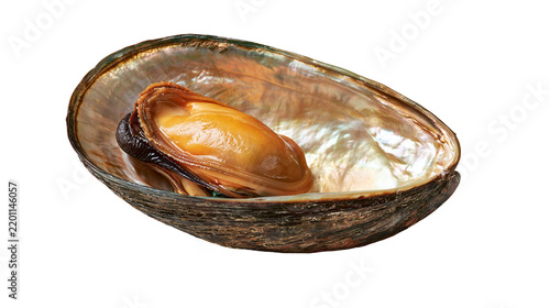 Bild auf Leinwand Fresh raw mussel meat inside an iridescent pearlescent abalone shell