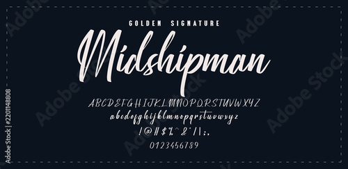 Hand drawn vector alphabet. Modern monoline signature script font. Elegant Signature Font. Best Alphabet Beautiful Calligraphy Signature Font