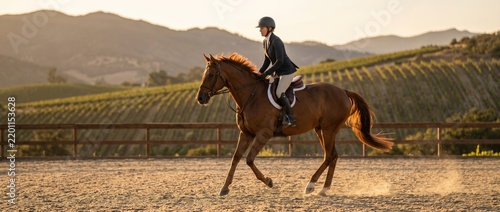 Equestrian woman in a dark jacket and helmet riding a brown horse at a trot in a dirt arena, with rolling hills and vineyard rows in the golden sunset background