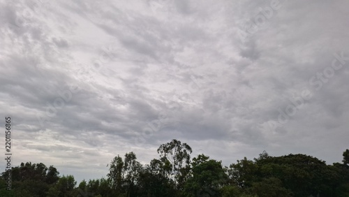 Overcast Grey Sky Above Silhouetted Trees Horizon