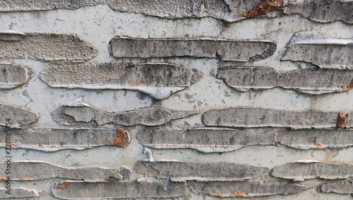 old wood texture