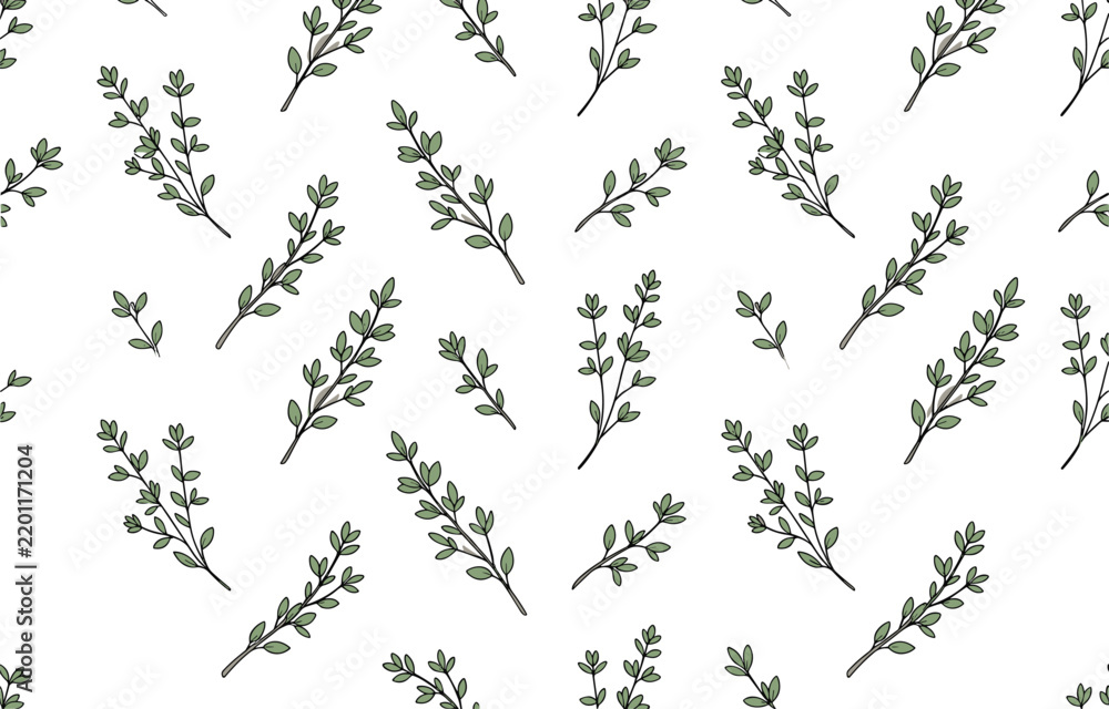 Fototapeta premium Hand drawn thyme branches seamless pattern for herbal packaging.