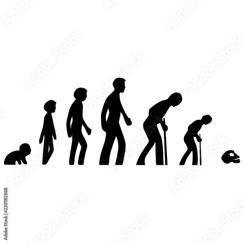 human evolution