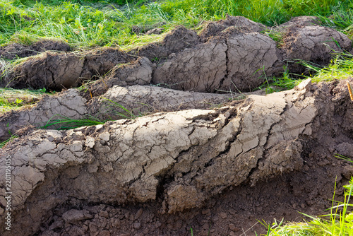 Moldboard plowing of overgrown virgin soil showing massive cracked earth rolls amidst lush green grass, preparing farmland for spring planting