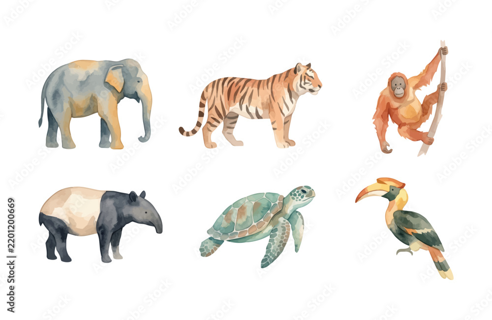 Fototapeta premium Watercolor Southeast Asian Wild Animals Icon Set Isolated on White Background