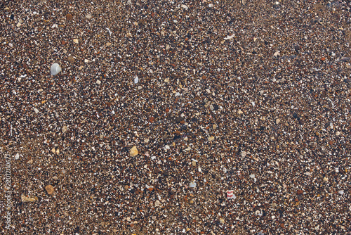Fotografía Wet Coarse Beach Sand Texture with Shell Fragments Background