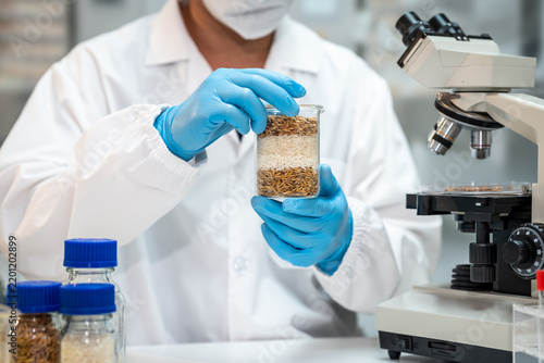 Scientist in a white lab coat and blue gloves examines a jar of grain or seeds beside a microscope in a modern food research laboratory.