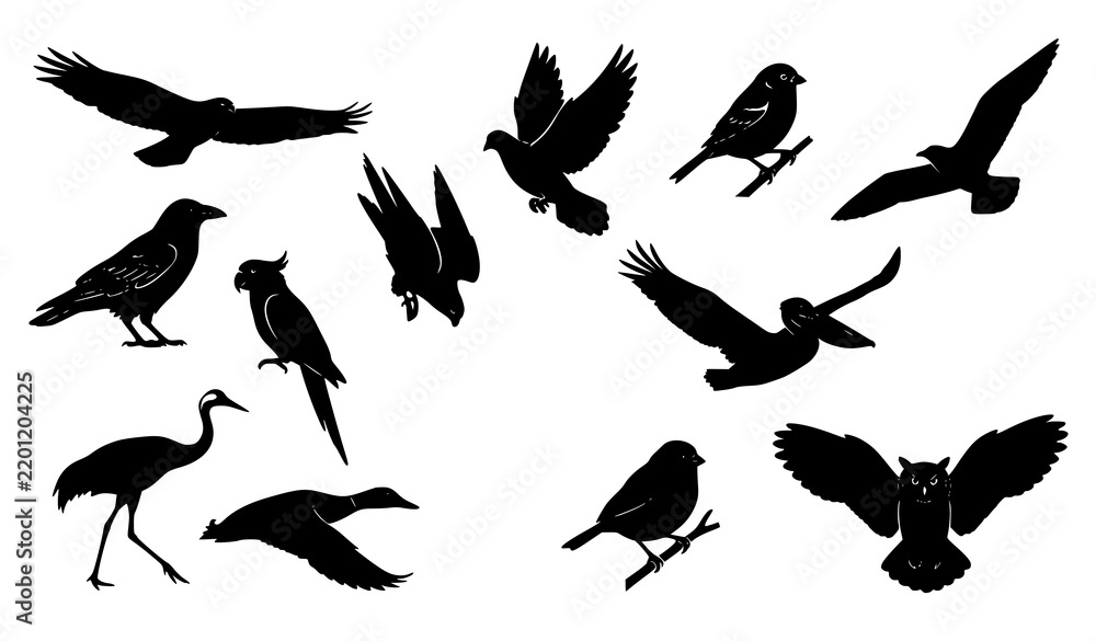 Fototapeta premium Hmm Wild Bird Black Silhouette Icon Set with Flying Perched and Natural Poses