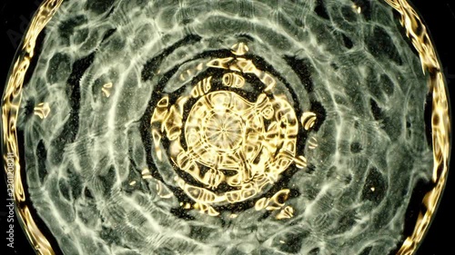 Cymatics wave patterns created by sound frequencies in liquid, forming complex symmetrical golden structures and concentric ripples on a dark background.