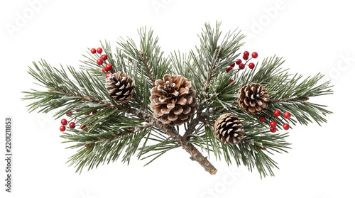 Christmas pine branch with pinecones and red berries isolated on transparent background