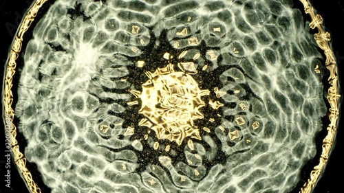 Cymatics wave patterns created by sound frequencies in liquid, forming complex symmetrical golden structures and concentric ripples on a dark background.