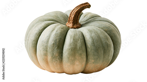 Round ribbed green pumpkin with a textured brown stem