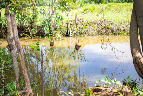 Small muddy river flowing through green trees and nature landscape