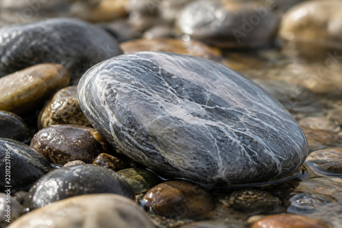 A smooth soapstone rock rests among wet river pebbles.