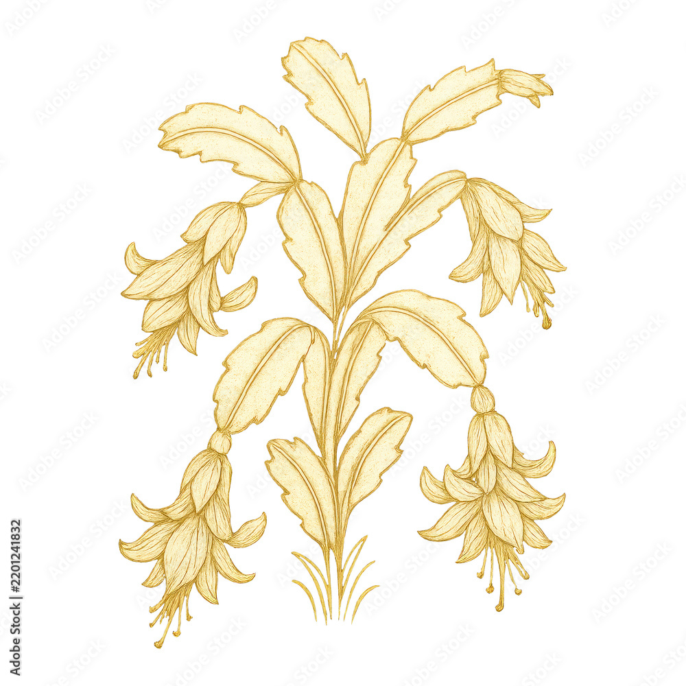 Obraz premium PNG Elegant botanical illustration with flowers.