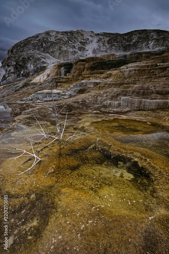 Mound and Jupiter Terraces, Mammoth Hot Springs: tiered, algae-and-bacteria-colored travertine pools under an overcast sky. Yellowstone NP-WY-USA-017