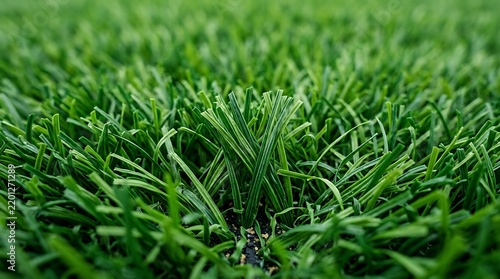 Fresh green grass blades growing closely together in natural sunlight